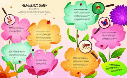 Sekretne zycie owadow_elibri_14